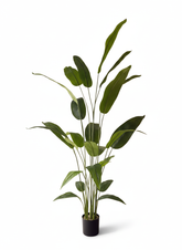 Artificial Stylish Bird of Paradise Plant - 6 ft (180 cm)
